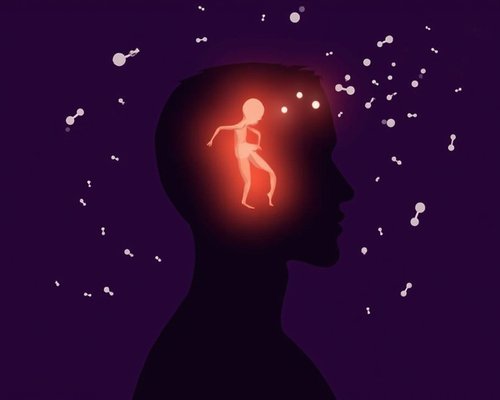 皮质醇:压力激素是如何影响你的情绪的?